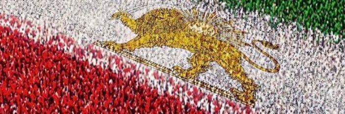 rima's banner