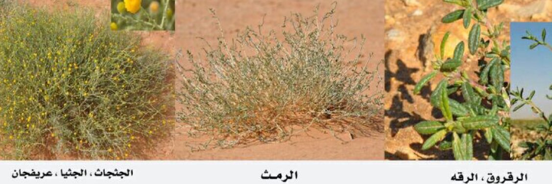 أبو سليمان's banner