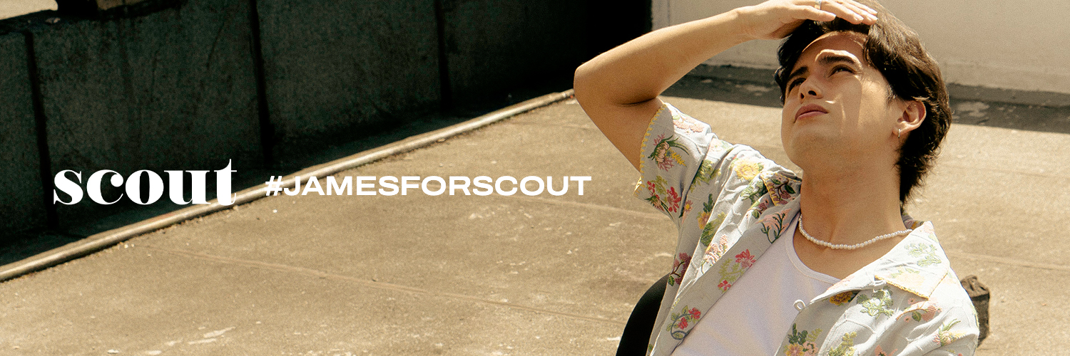 SCOUT's banner