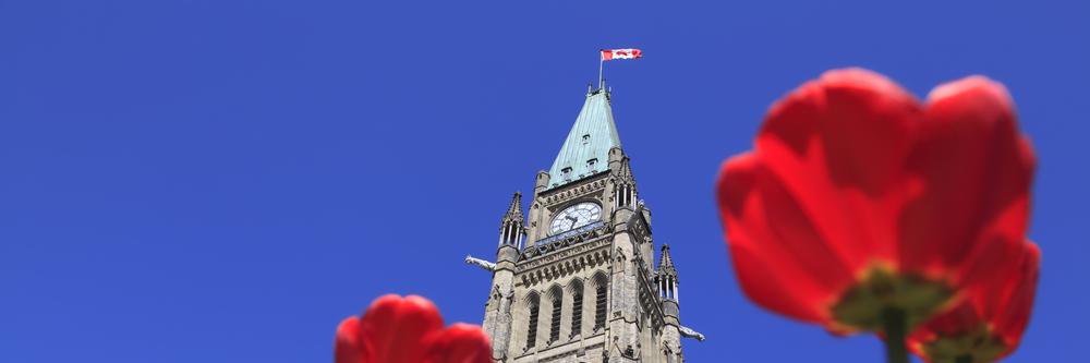Sen. Denise Batters's banner