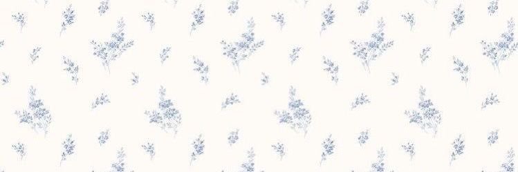 chloe 𐙚's banner