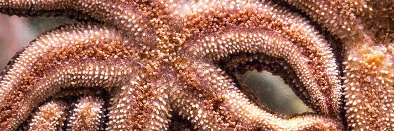 Aquarium of the Pacific's banner