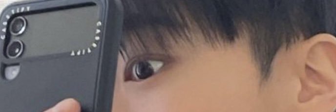 🌙とらねこ빈's banner