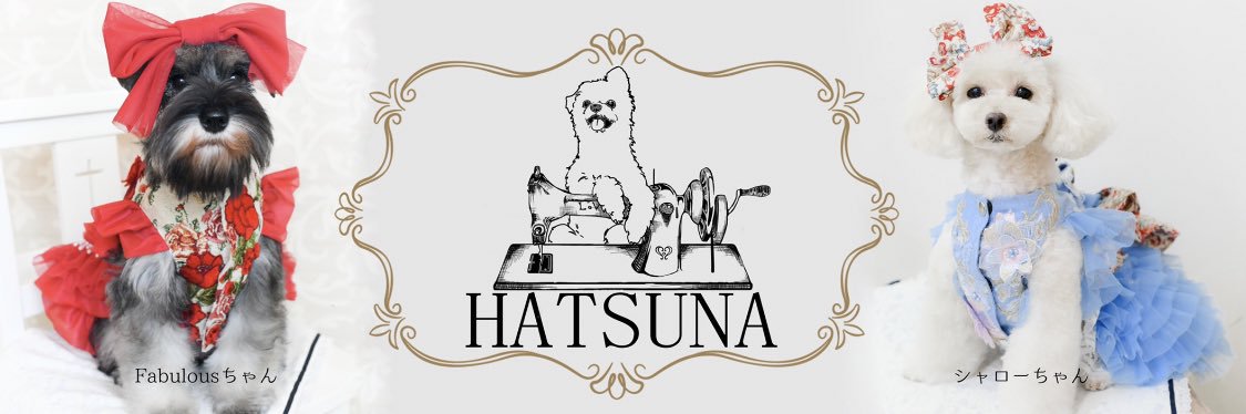 ✧ HATSUNA✧'s banner