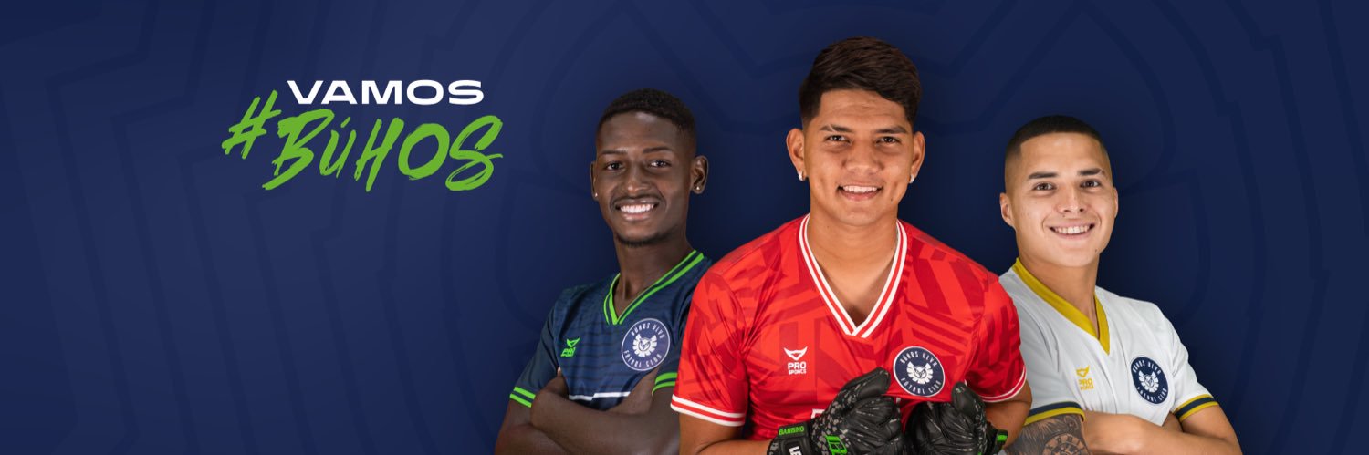 Búhos ULVR's banner