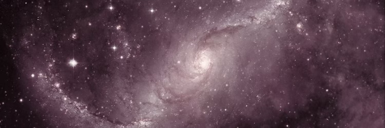 Viktoria Kay's banner