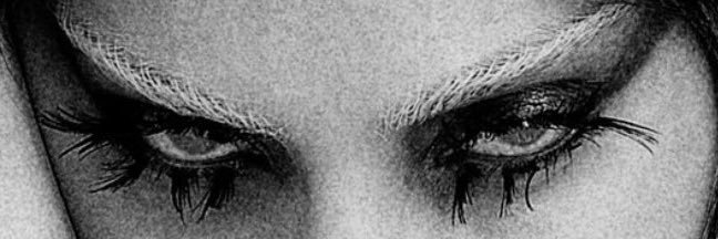 aria verga's banner