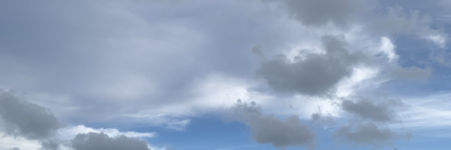 nerdreadlocks's banner
