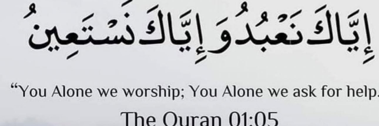 Nuzhat Hasan's banner