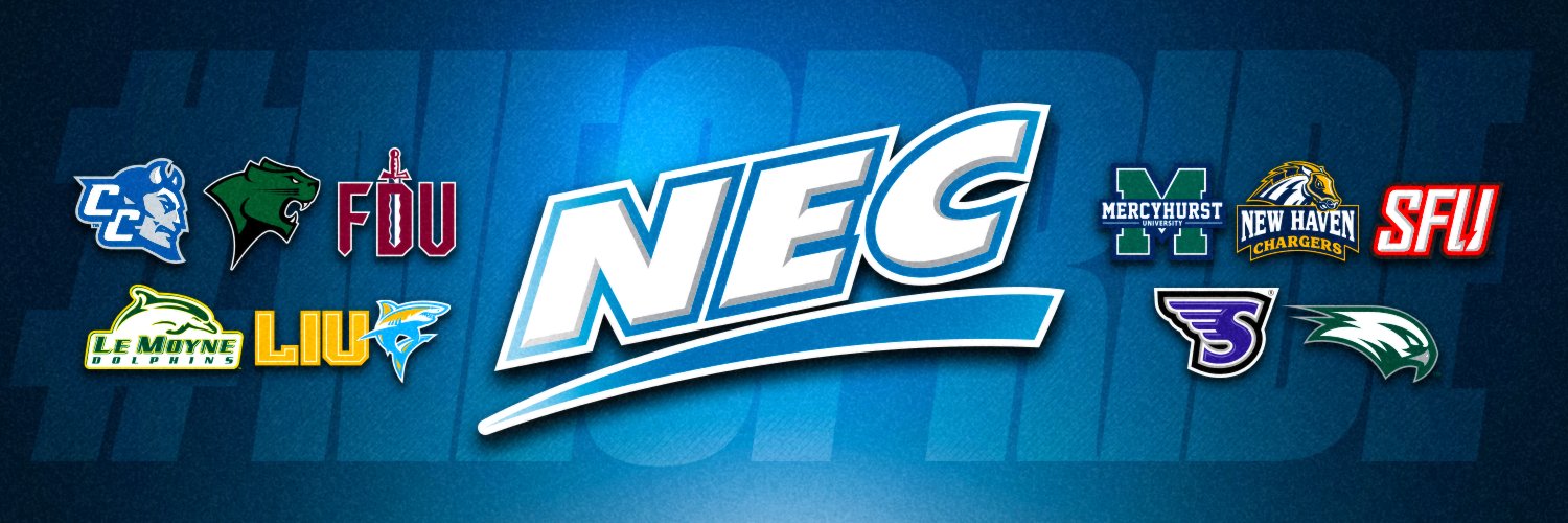 NEC's banner