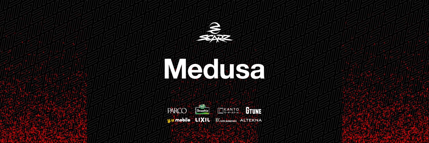 MEDUSA's banner