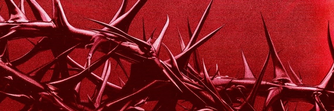 Jesskiu✨'s banner