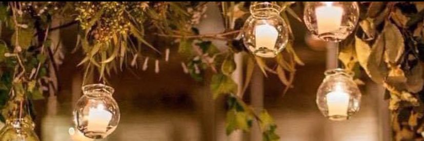 LM Ari's banner