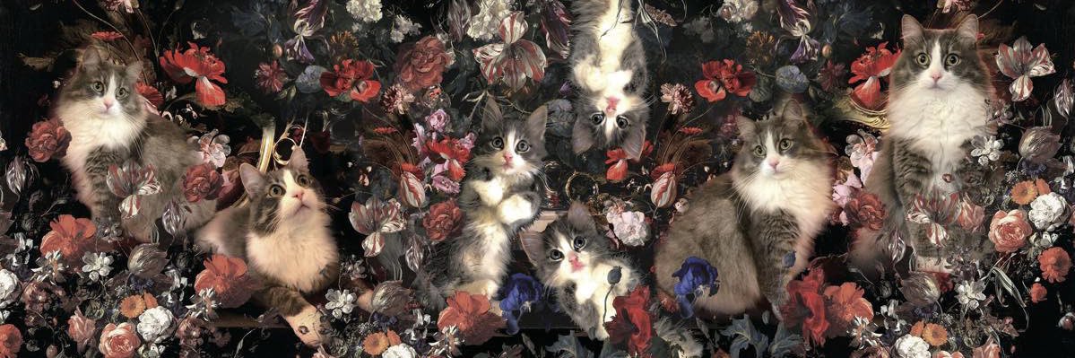 アイト🐈🐈🐈's banner