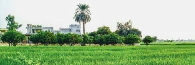 सोनियो🥰's banner