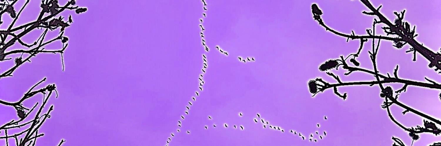 SMEBmixedit.🎚️'s banner