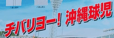 かりゆし's banner