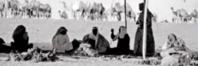 منصور الميخار's banner