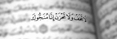 علاء الحليسي's banner