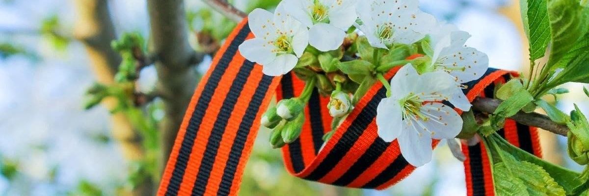ZтанислаV Официальный's banner