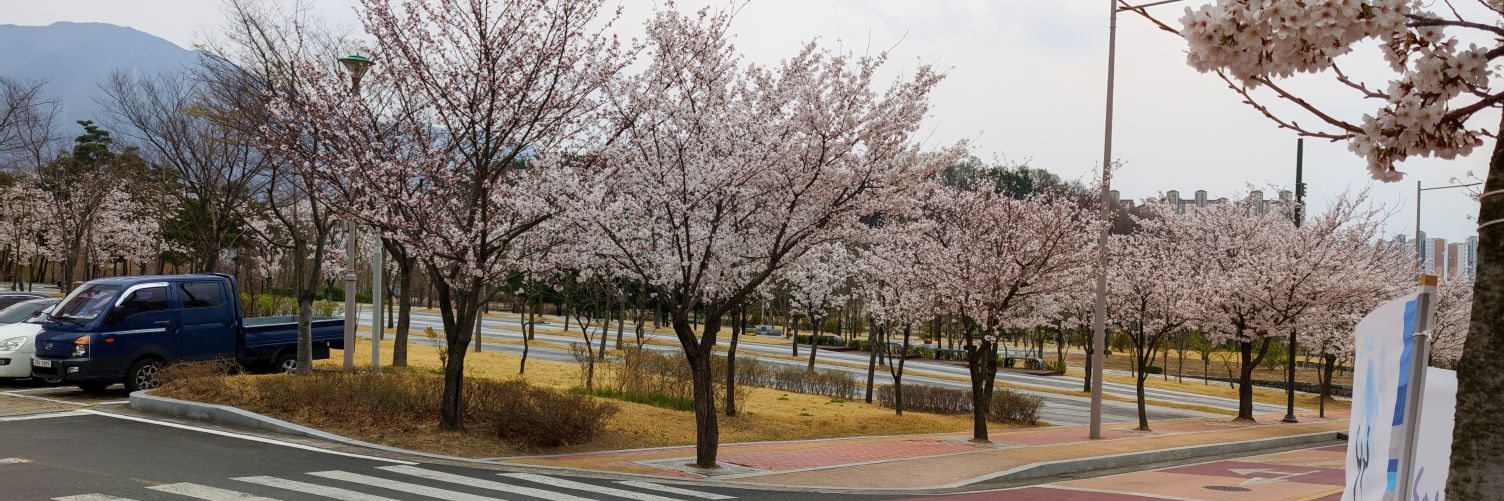 Juhyung Park's banner