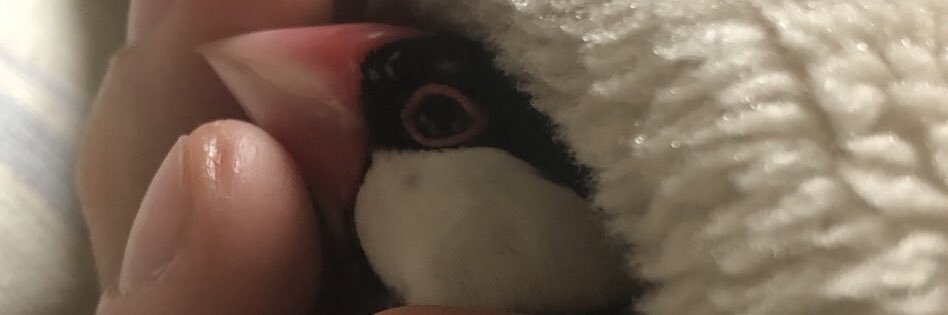 じん。's banner