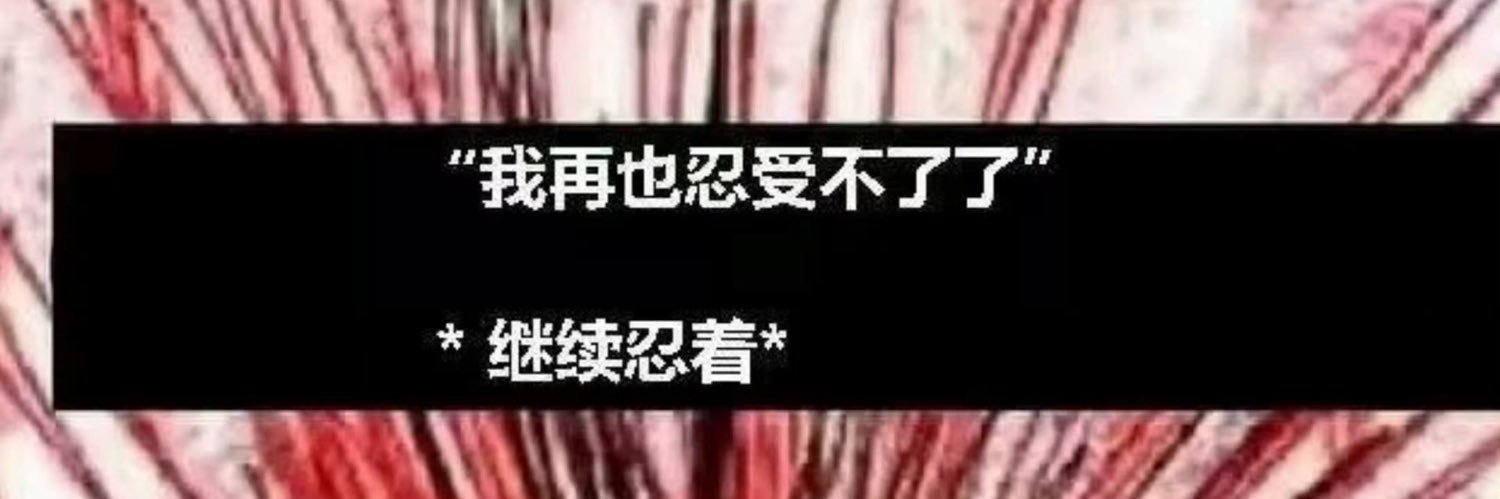 不快乐的*秋鹭🌟🏳️‍⚧️（srs手术规划中）'s banner