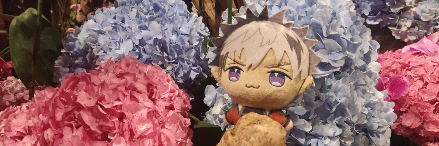 rozee 🩷✨🍉's banner