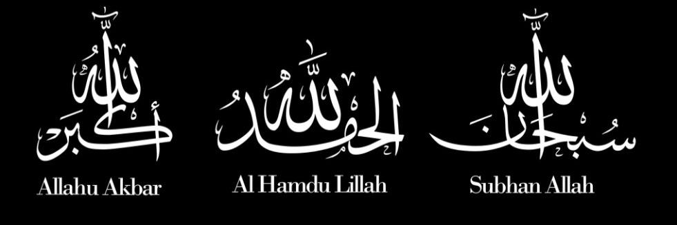Ansar Abbasi's banner