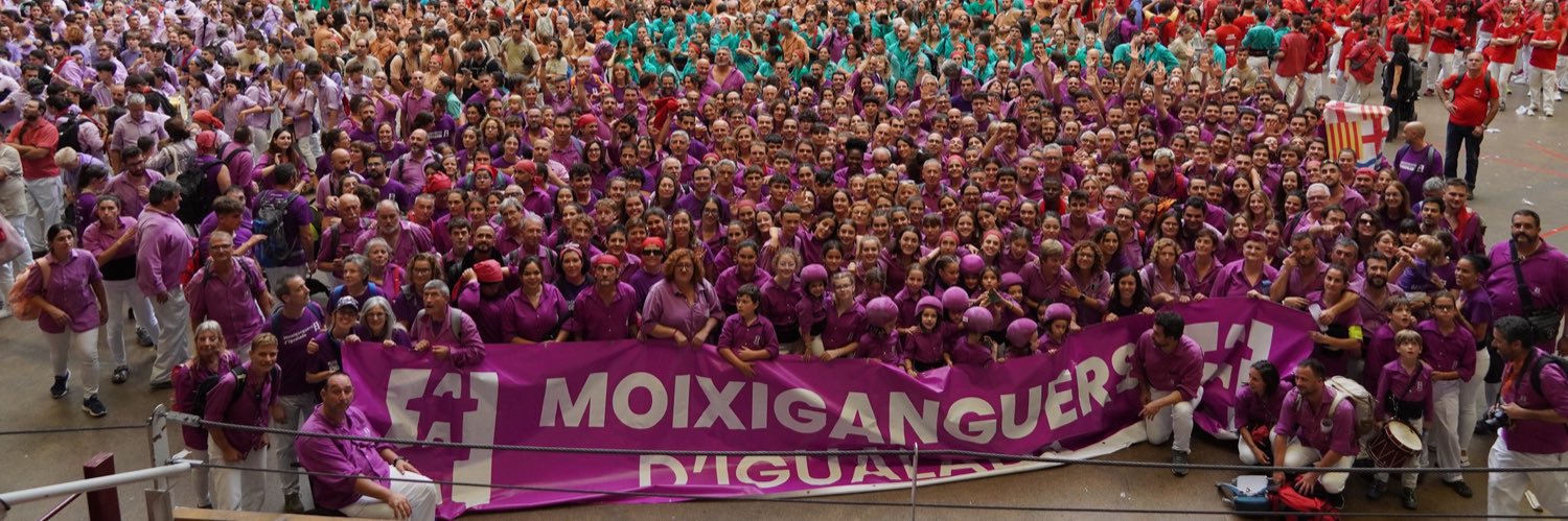 Moixiganguers d'Igd's banner
