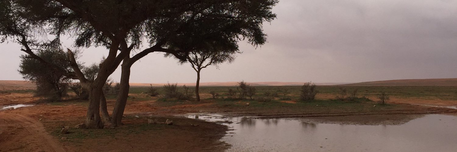 احمد العنقري's banner