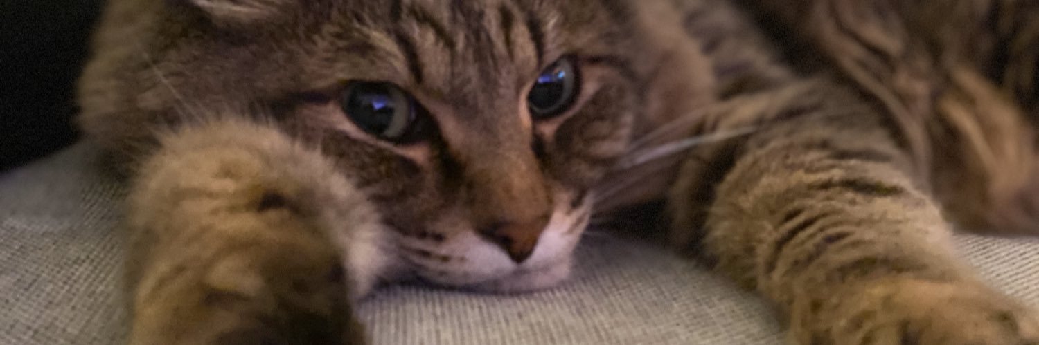 Gab Smolders's banner