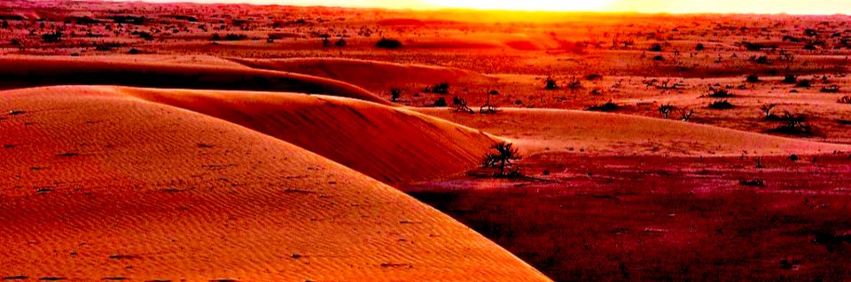 مروج الربيع |أبو همام العثيم |'s banner