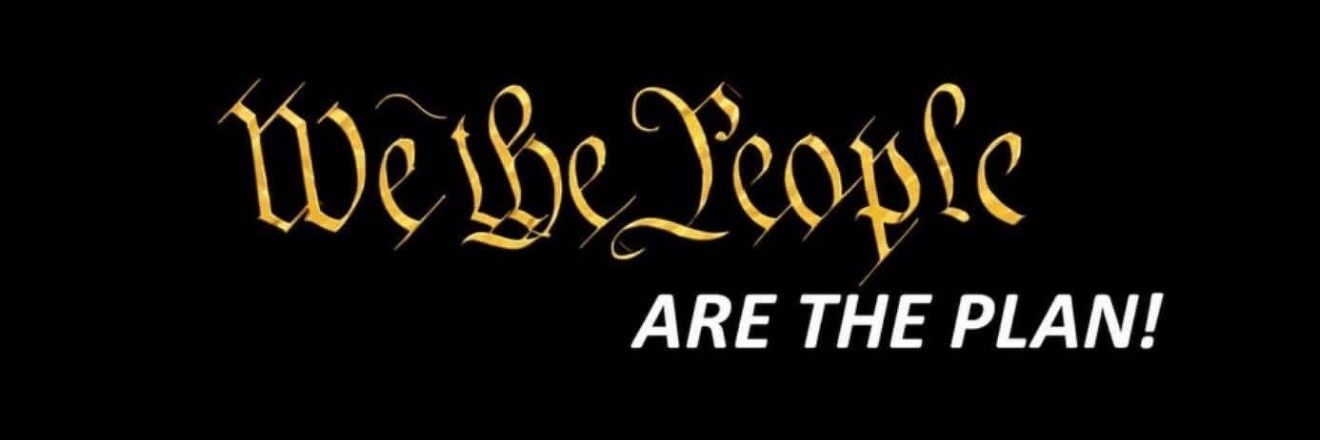 Screw Big Gov - Lewis Herms's banner