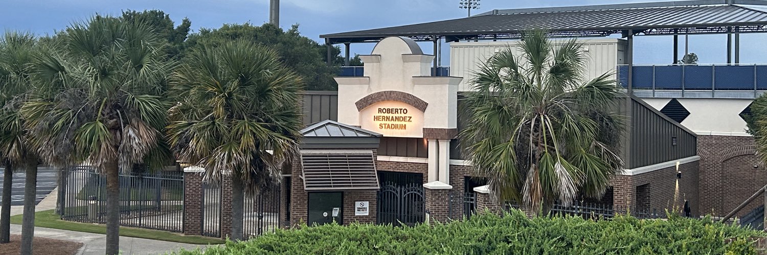 USCA Baseball's banner