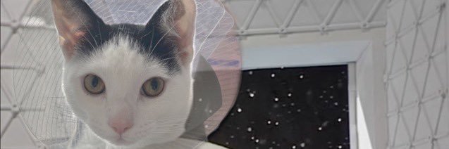 Hello, This is Ivan's banner