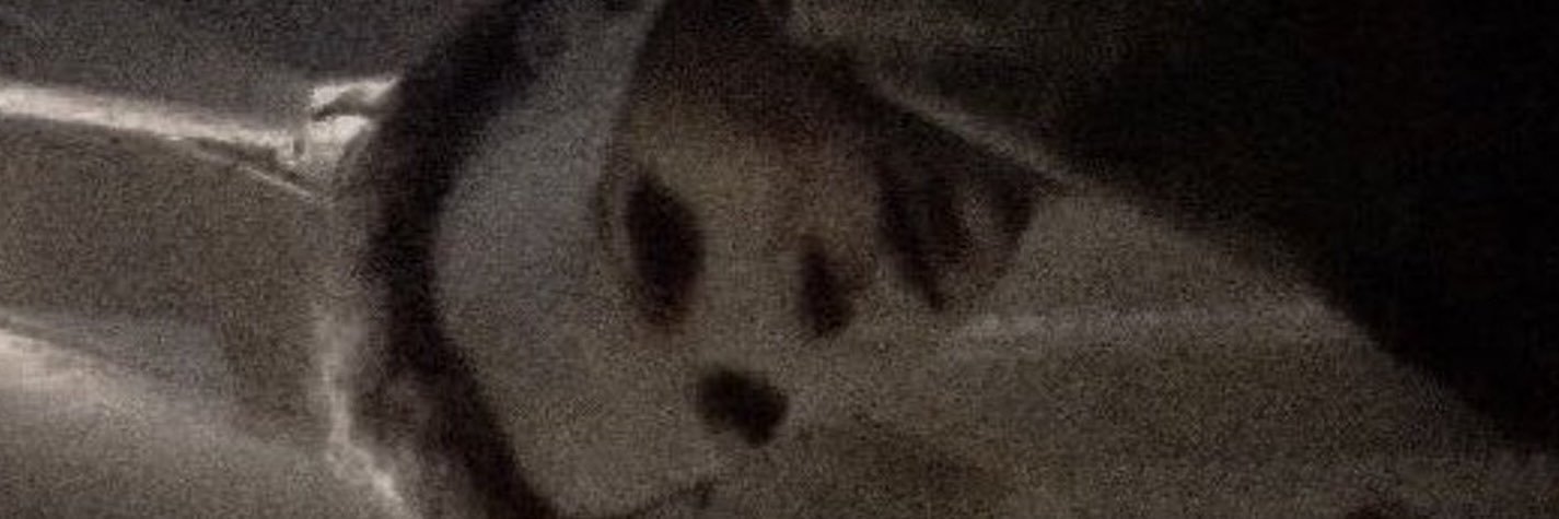 Joey's banner