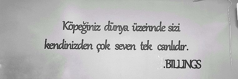 ^_ PATİLİ CAN DOSTLARIMIZ _^'s banner