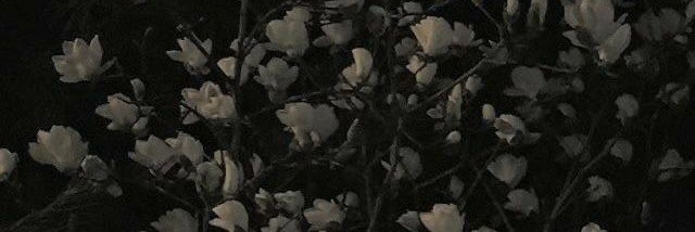 ꕥ ᔑᖾᥱɾɾყ 💋🪩's banner