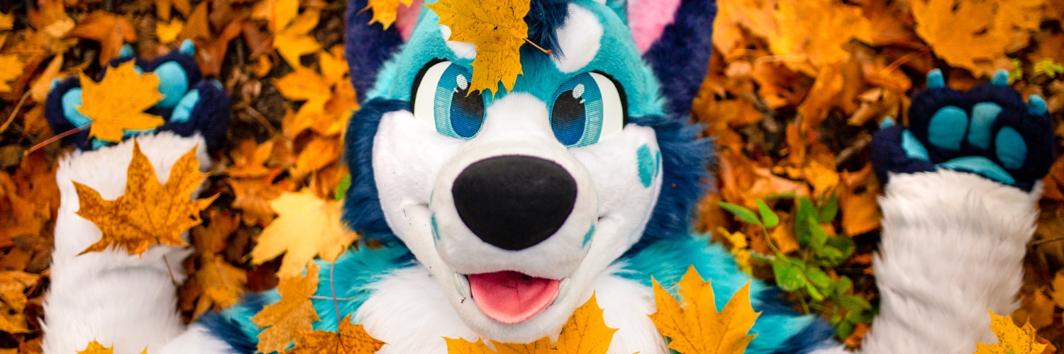 Exi 🔜 CeSFuR, Awoostria's banner
