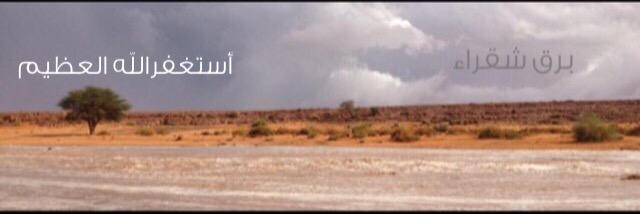 برق شقراء's banner