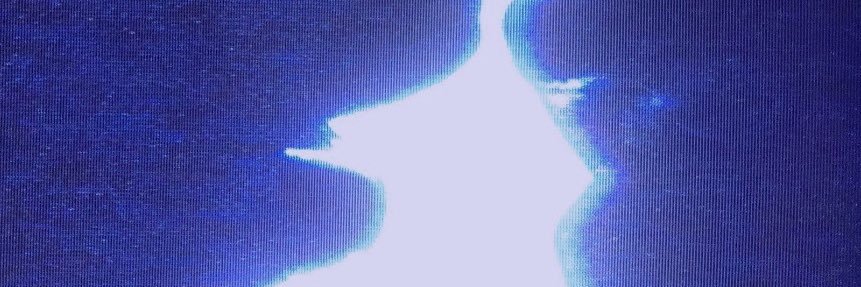 𝘛𝘩𝘦 𝘮𝘦𝘭𝘭𝘰𝘸𝘴's banner