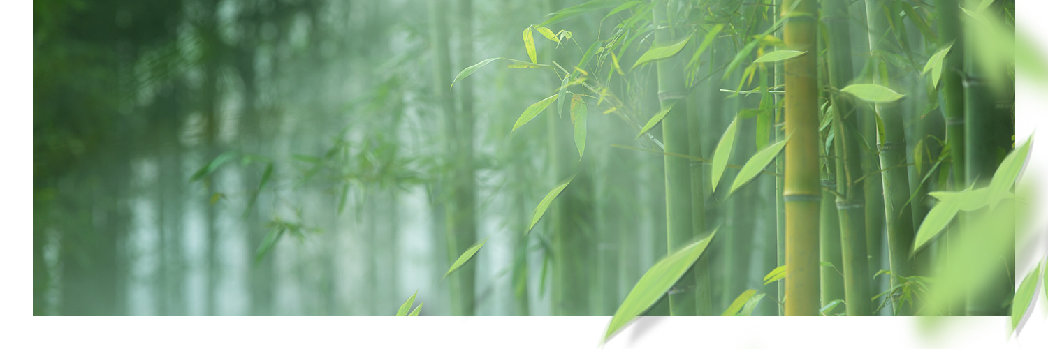 Valiant Panda's banner