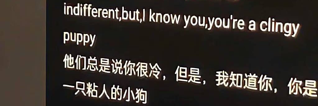 小猫新福's banner