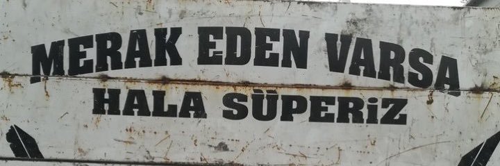 zena's banner