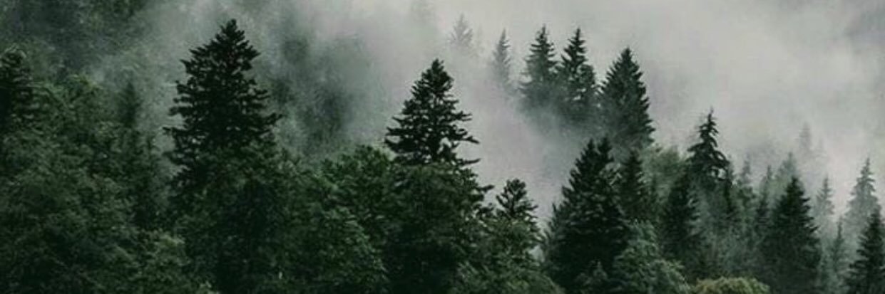 بدرية سلطان المعجل ( ام أحمد)'s banner