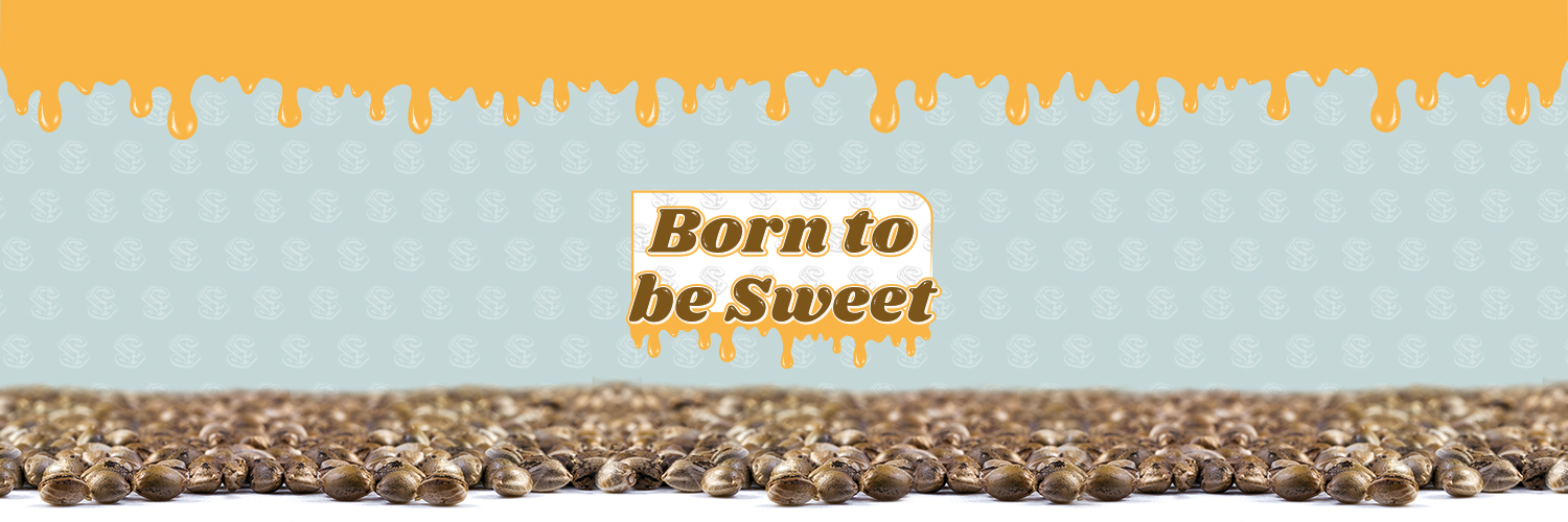 Sweet Seeds®'s banner