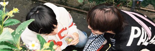 • S H I N C H O R N • มัมมี้ตี๋ตี๋ปิ้ปป๋อ😎's banner