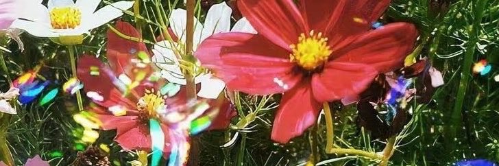 jaina🎀's banner