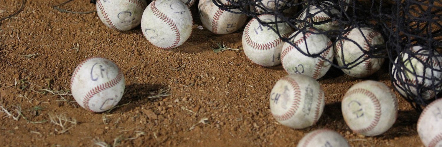ベースボールキング⚾🥎's banner